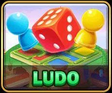 Ludo game